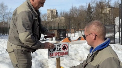 Во Владимире запретили выгул собак на газонах