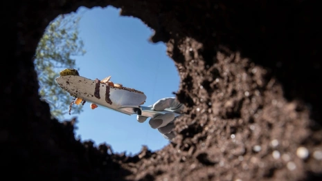 Житель Вязников заставил знакомую копать себе могилу за долг в 100 тыс. рублей