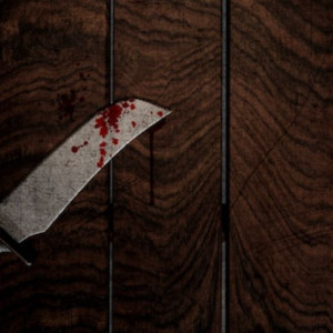 Во Владимирской области мужчина изрезал мужа сестры