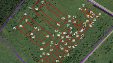 В Кольчугинском районе началась высадка огромного геоглифа