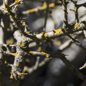 Во Владимирской области на рабочей неделе потеплеет до +10 градусов