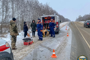 Во Владимирской области в ДТП пострадал 73-летний мужчина