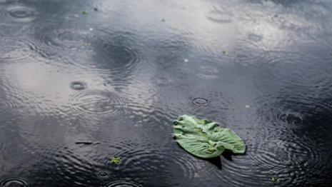 Прогноз погоды во Владимирской области на 10 августа