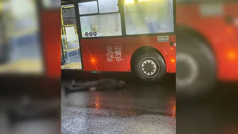 Во Владимире автобус сбил 2 пешеходов
