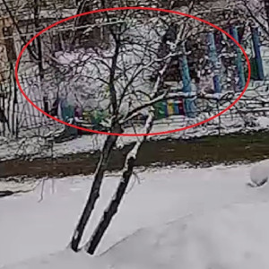 Появилось видео обрушения веранды в саду Гусь-Хрустального