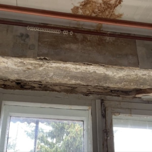 Прокуроры вызвали «на ковер» главу владимирской ЖКХ из-за дома с грибами на потолке