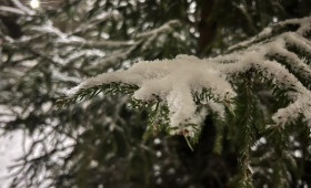 Прогноз погоды во Владимирской области на 15 февраля 2026 года