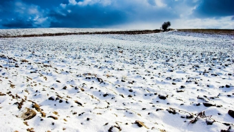 Прогноз погоды на 21 марта 2024 года во Владимире и области