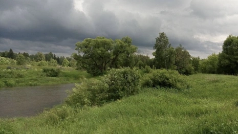 Большая часть Киржача осталась без света после ливня и грозы