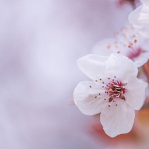 Прогноз погоды на 27 апреля 2025 года во Владимире и области