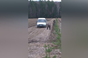 В истории о скандально известном кладбище в Соколе произошел новый поворот