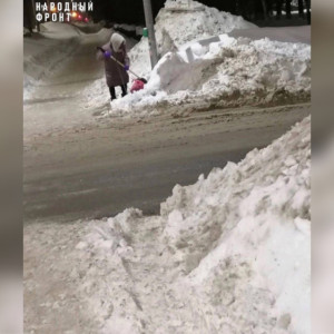 Во Владимире бабушка вышла с лопатой и почистила тротуар от снега