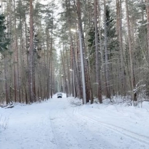 К Новому году в Гусь-Хрустальном районе откроют новую лыжную трассу