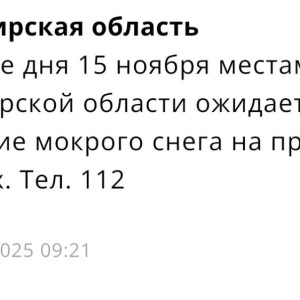 МЧС предупредило жителей Владимирской области о налипании мокрого снега