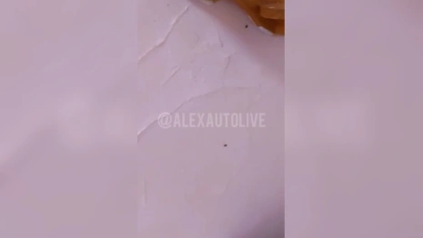 Очевидцы: в Александрове детсад №15 заполонили тараканы