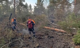 Спасатели рассказали об обстановке в горящем лесу под Камешково