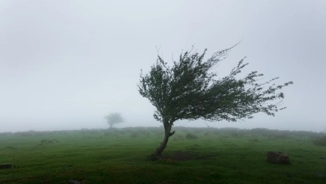 Во Владимирской области продлили штормовое предупреждение 