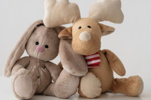 Во Владимире «отец года» украл из магазина игрушки ради подарка детям