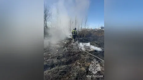 Во Владимирской области потушили 13 га охваченной огнем сухой травы