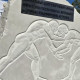 Во Владимире региональный центр спортивной борьбы назовут в честь Романа Кутузова