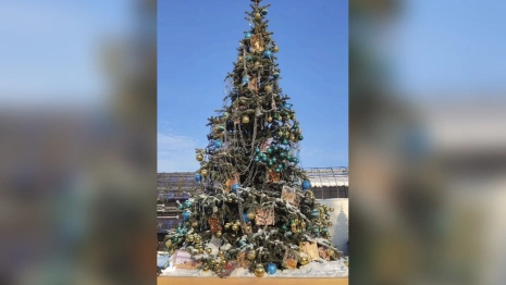 Елку Владимирской области назвали самой гламурной на выставке «Россия»