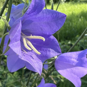 Прогноз погоды во Владимирской области на 17 мая 2025 года