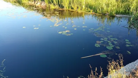 Жители Владимирской области достали из озера тело 45-летнего мужчины
