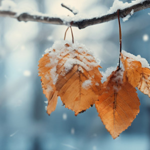 Прогноз погоды во Владимирской области на 21 октября