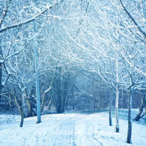 Во Владимирскую область на выходные вернутся морозы