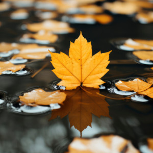 От +14 до заморозков. Синоптик поделился прогнозом на октябрь во Владимирской области