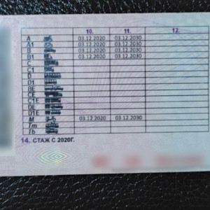 Владимирским автомобилистам разрешили предъявлять полицейским электронные права