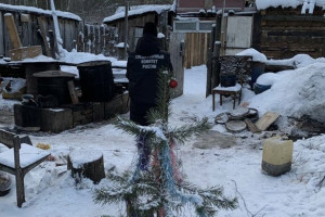 Жителя Гусь-Хрустального будут судить за убийство брата в новогоднюю ночь