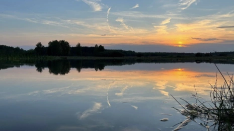 Синоптики пообещали жителям Владимирской области «удивительную» погоду весной и летом