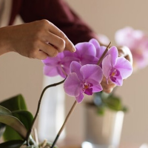 Во Владимире 24-летнего рецидивиста осудили за ограбление цветочного