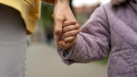 Во Владимирской области 11 многодетным семьям отказали в получении маткапитала