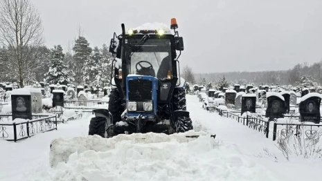 Во Владимире предприняли вторую попытку кладбищенской реформы