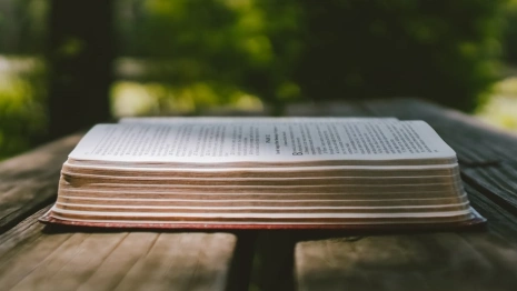 Владимирский сенатор прокомментировала стихами попадание под санкции США