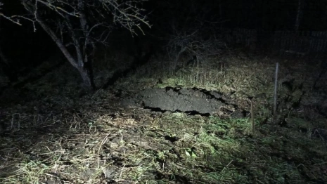 Жительница Петушинского района задушила мигранта веревкой и закопала труп на участке