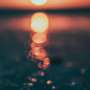 Во Владимирской области нашли мертвым пропавшего в галошах судогодца