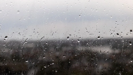 Синоптики пообещали похолодание и дожди во Владимирской области в выходные
