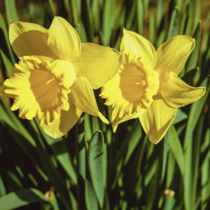 Архипов день: что можно и чего нельзя делать 4 марта