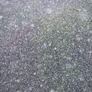 Жителей Владимирской области предупредили о затяжном снегопаде