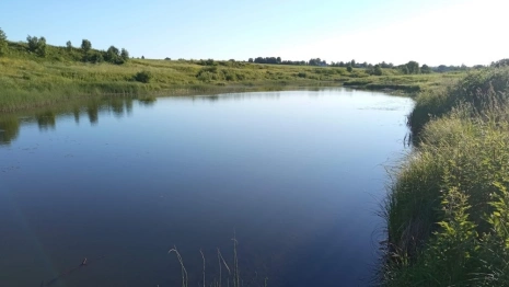 Во Владимире на озере Глубокое спасли мужчину