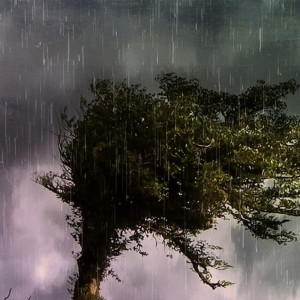 Буря надвигается на Владимирскую область