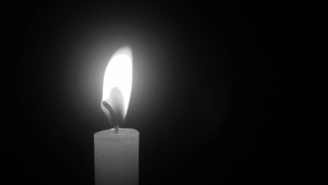 Пропавшего 2,5 года назад мужчину во Владимирской области нашли мертвым