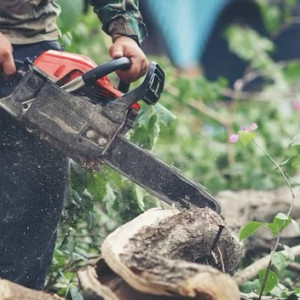 Во Владимирской области с «черного лесоруба» взыскали 700 тыс. рублей