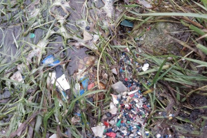 Губернатор назвал «свинством» загрязнение Клязьмы во Владимире