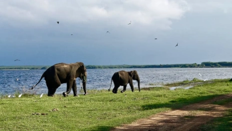У владимирского города появился город-побратим на острове в Индийском океане 