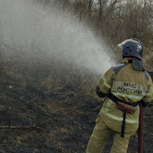 Во Владимирской области загорелись два леса