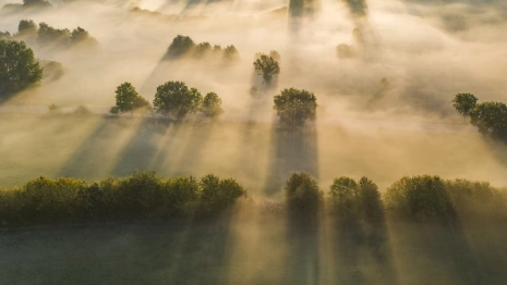 Утренние туманы опустятся на Владимирскую область в выходные